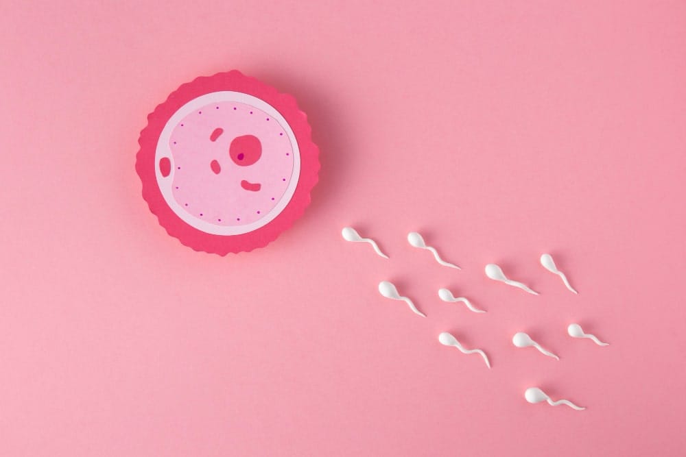 Fertility
